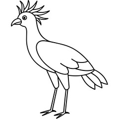 illustration of a cartoon bird