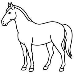 illustration of a horse with vector art