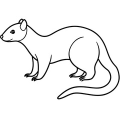 illustration of a mongoose with vector art