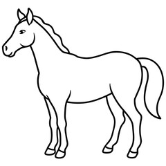 illustration of a horse with vector art