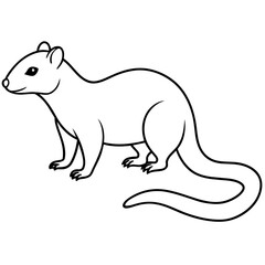 illustration of a mongoose with vector art