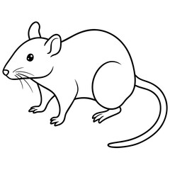 illustration of a mouse