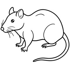 illustration of a mouse