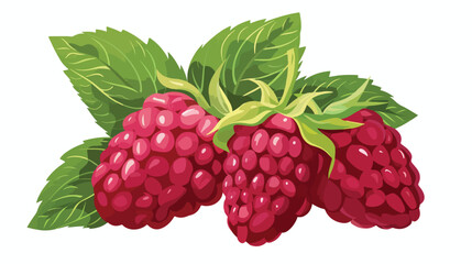 Monohrome vector raspberry isolated on white background