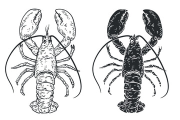 Hand drawn silhouette monochrome lobster isolated on white background. Sea animals in sketch vintage style. Vector retro illustration. - 774711031