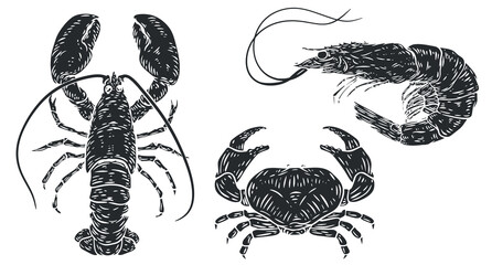 Hand drawn monochrome lobster, crab and shrimp isolated on white background. Sea animals in sketch vintage style. Vector retro illustration. - 774711038