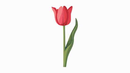 Tulip vector icon flat vector isolated on white background