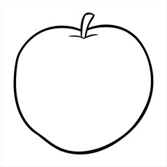 apple sketch vector illustration