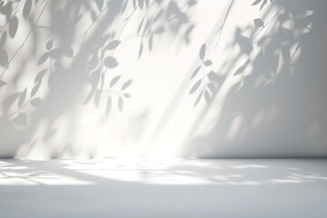 植物の影と光が差し込む白い壁背景