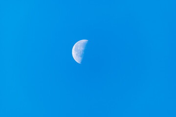 朝の半月