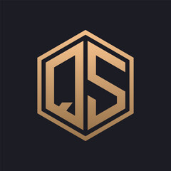 Elegant Hexagon Letter QS Logo Design. Initial Luxurious QS Logo Template