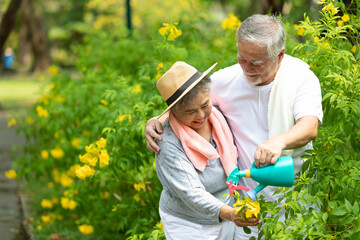 elderly couple watering a tree in the park