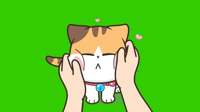 Pinch your cheeks animation, cute cat on green screen