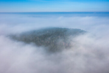Amazing aerial forest landscape over fog. Poland - obrazy, fototapety, plakaty