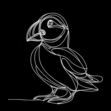 A black and white drawing of a Puffin with a black background.
