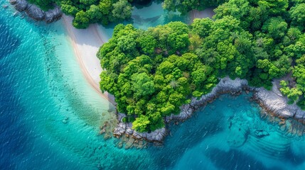 Landscape with trees, sea, forest, natural beauty.