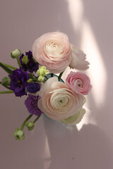 Ranunculus 