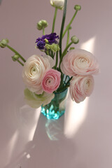 Ranunculus 