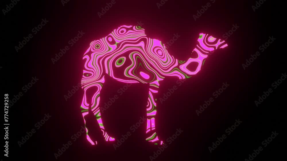 Fototapete 4k video animation of beautiful pink texture or pattern formation on the camel body shape, isolated 