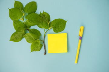 Square sheets, yellow sticker, top view, a branch with green leaves on a bright blue table with