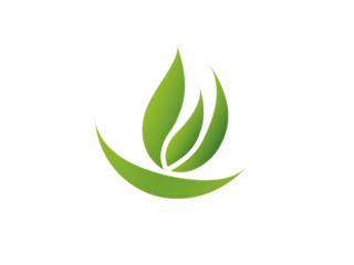 Minimalist logo in light green color.