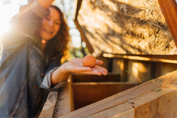Fresh chicken egg in the female hands of a farmer, rural life, organic farming. Morning routine on...