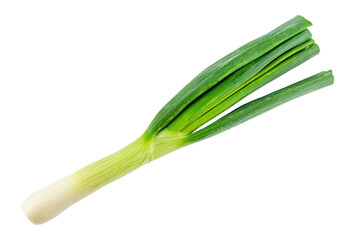 fresh green spring onion isolated on a transparent background, textured graphic element