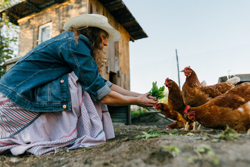 Woman farmer in denim clothes and hat smiling feeding greens to free-range chickens on sunny farm. Caring for agriculture: Satisfied woman feeding chickens with fresh leaves on her farm