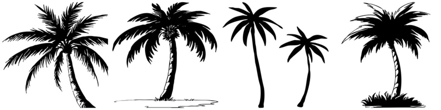 Set of 4 Illustration of a palm tree. Black tropical tree on a white background. Generated by Ai