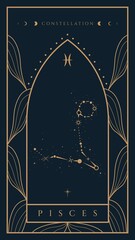 Pisces Constellation Zodiac Illustration