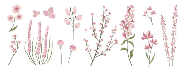 Foto op Plexiglas Collection of floral and botanical elements. Set of leaf, foliage wildflowers, plants, bloom, leaves and herb. Hand drawn of blossom spring season vectors for decor, website, wedding card and shop. © TWINS DESIGN STUDIO