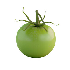 Green tomato on Transparent Background