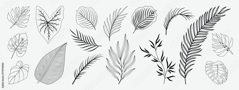 Wall mural tropical leaves hand drawn line art and silhouette vector set. collection of leaf branch, monstera,  - Wall murals