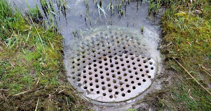 Lake water overflow going down a sewage system manhole cover lid strainer. Top view, real time, no people