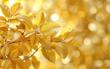 Obraz premium A tree branch with leaves that are golden in color. The leaves are wet and shiny, and the branch is surrounded by a blurry background. Concept of warmth and tranquility, as the golden leaves