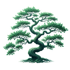 Bonsai green tree isolated in transparent background. 
