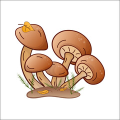 Fototapeta premium honey mushrooms vector color illustration isolated. Hand drawn armillaria melea in cartoon. Design element for theme forest mushrooms, menu, forest, ingredients, recipes, organic products, etc.