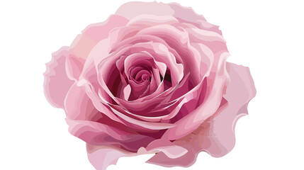 Pink rose isolated on white Flat vector 
