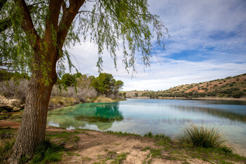 Colorful view from the Laguna Salvadora viewpoint in the Ruidera lagoons, between Ciudad Real and Albacete, Spain with a tree in the foreground