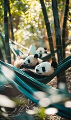 Naklejka premium Three panda bears are laying in a hammock together. Generative AI.
