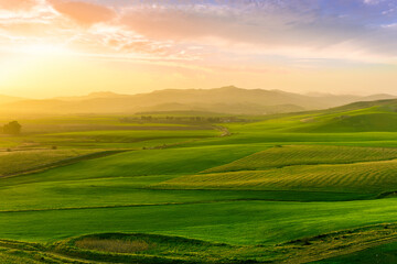 beautiful green valley with green fields with green spring grass with nive hills and mountains and scrnic colorful cloudy sunset on background of landscape