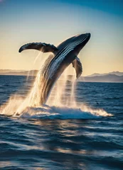 Fotobehang National Geographic award winning drone photograph of a humpback whale spraying and spouting water above the surface, Exciting movement, bright light, film grain, lens flare, bright morning sky, Kodac © farah