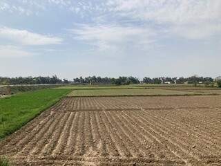 plowed field in the morning