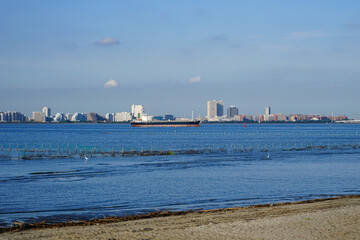 晴れ渡った朝の干潟　ふなばし三番瀬海浜公園（千葉県船橋市）　