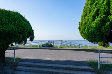 晴れ渡った朝の干潟　ふなばし三番瀬海浜公園（千葉県船橋市）　