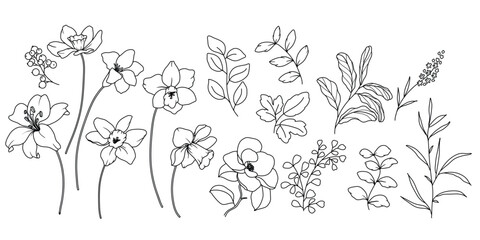 minimal line flower and botanical graphic sketch drawing, trendy tiny tattoo design, floral elements vector illustration - 774781619