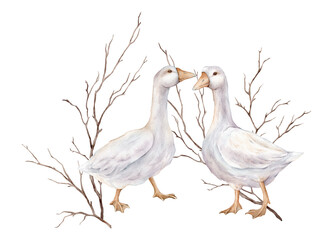 Domestic white and gray watercolor gooses and tree branches without leaves. Cute farm bird. Hand drawn illustration on isolated background. For Easter design. Fowl gosling in minimalist style