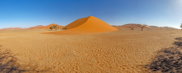 Fototapeta na wymiar Panoramic picture of the red dunes of the Namib Desert in Namibia against a blue sky in the evening light