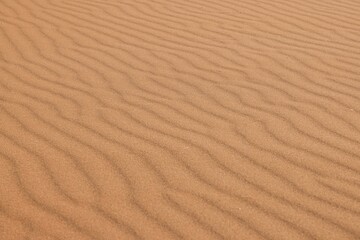 View of the undulating surface of a sandy area in the desert shaped by the wind