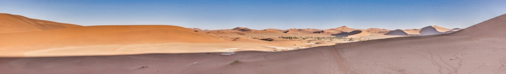 Fototapeta na wymiar Panoramic picture of the red dunes of the Namib Desert with footprints in the sand against blue sky